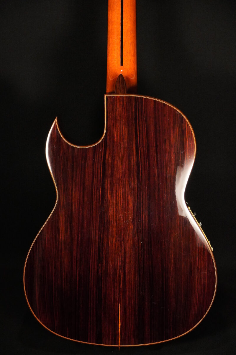 Felipe Conde CC37CW Custom – Bild 9