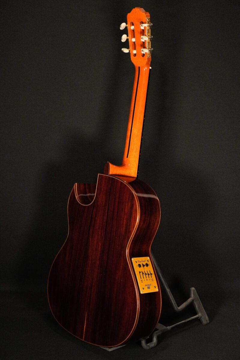 Felipe Conde CC37CW Custom – Bild 13