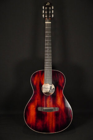 Dowina Black Tulip - Chaos Burst
