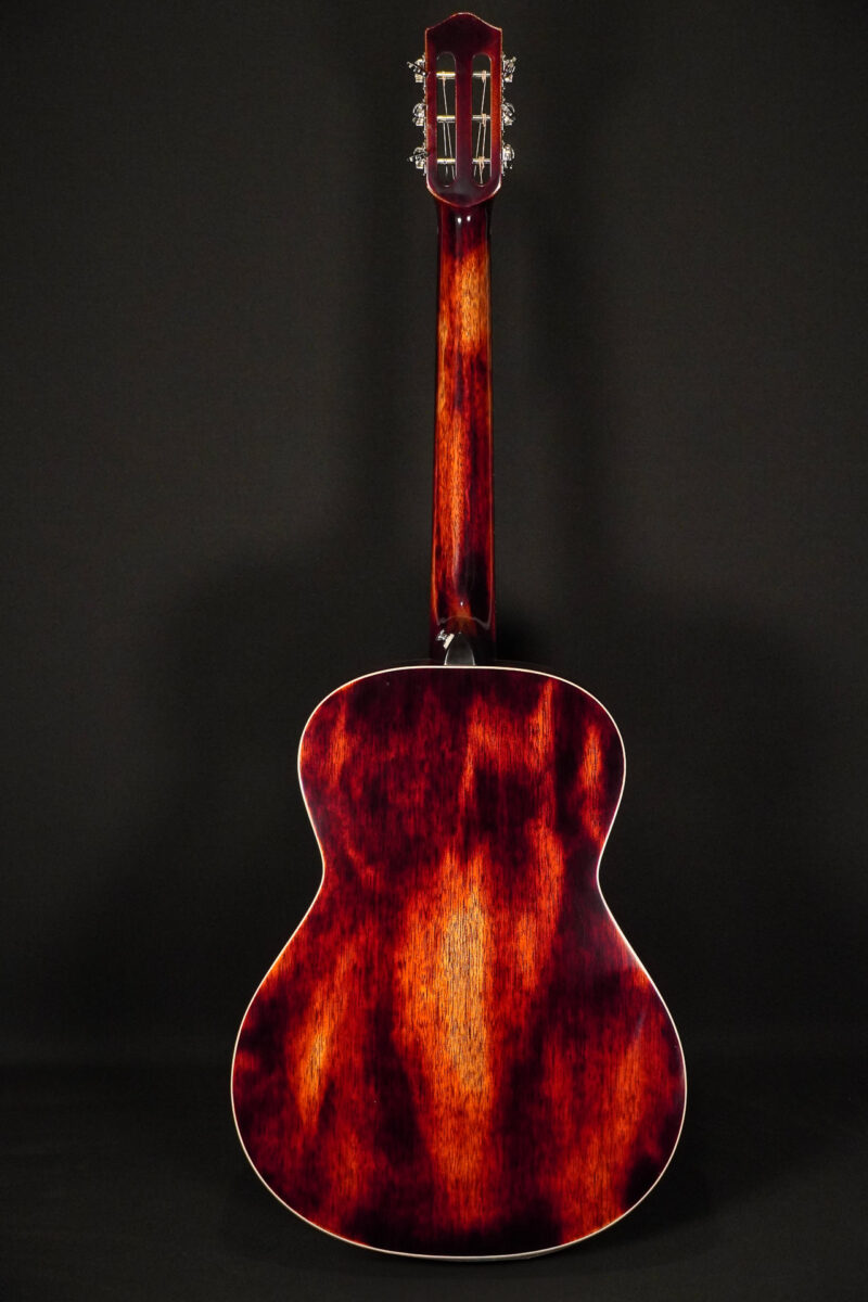 Dowina Black Tulip - Chaos Burst – Bild 2