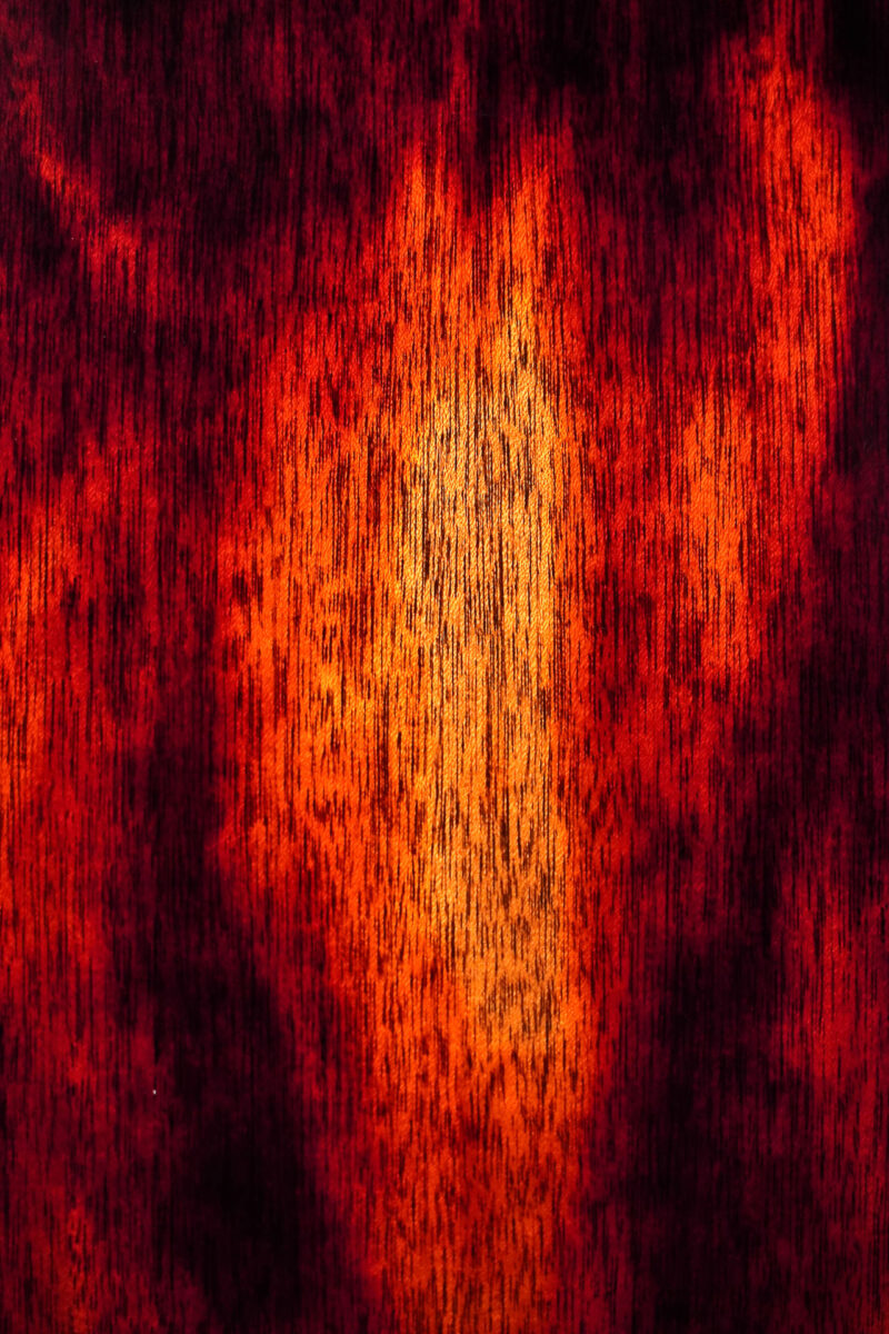 Dowina Black Tulip - Chaos Burst – Bild 11