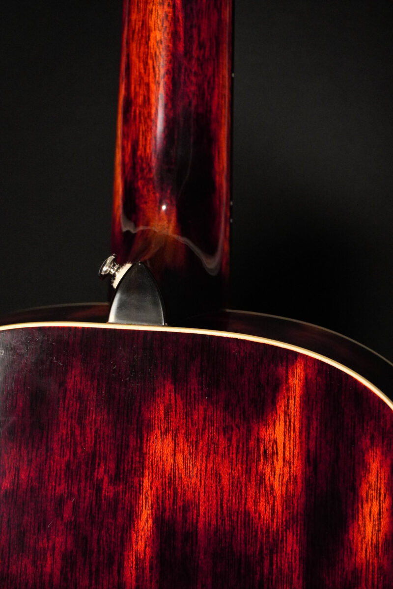 Dowina Black Tulip - Chaos Burst – Bild 12