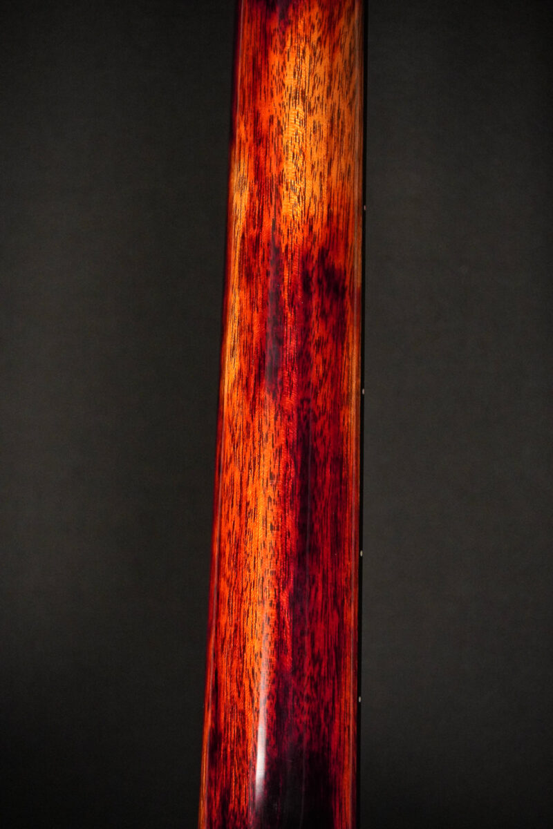 Dowina Black Tulip - Chaos Burst – Bild 13