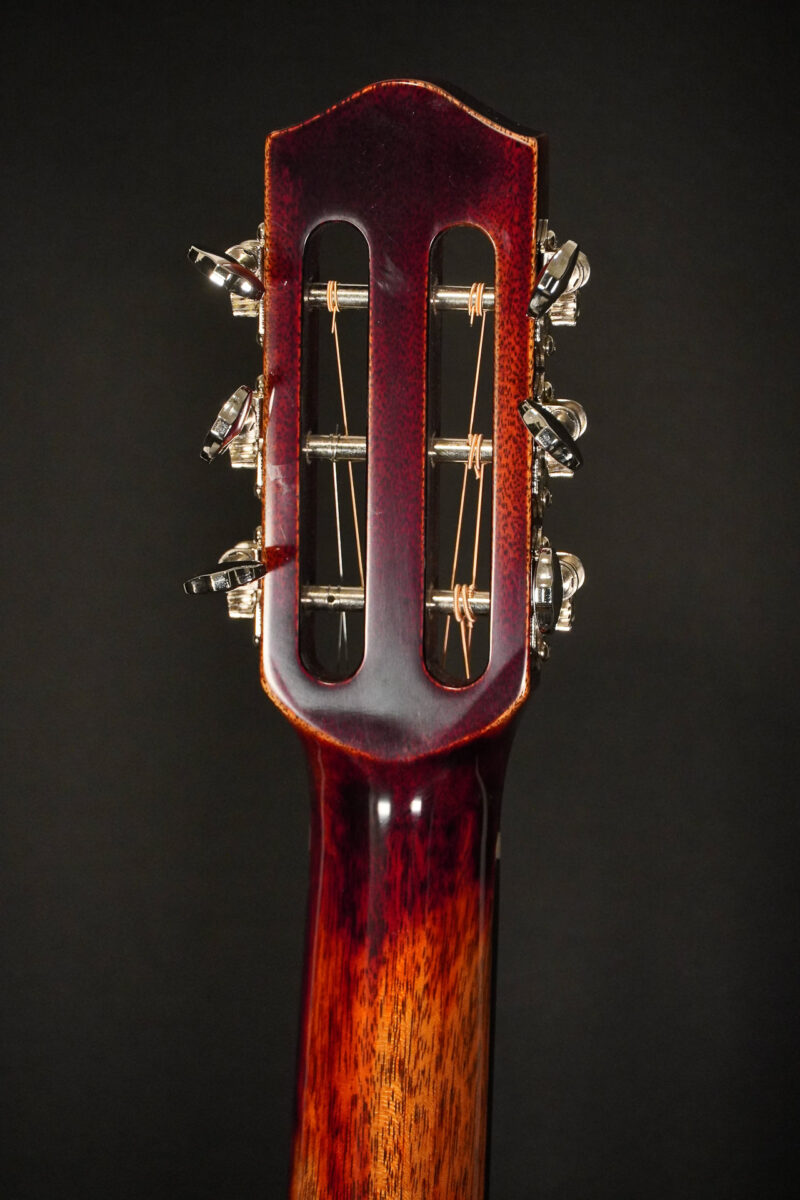 Dowina Black Tulip - Chaos Burst – Bild 14