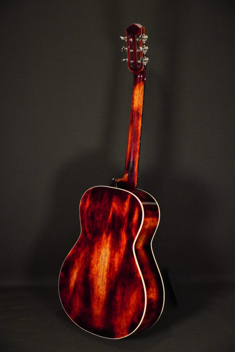 Dowina Black Tulip - Chaos Burst – Bild 15