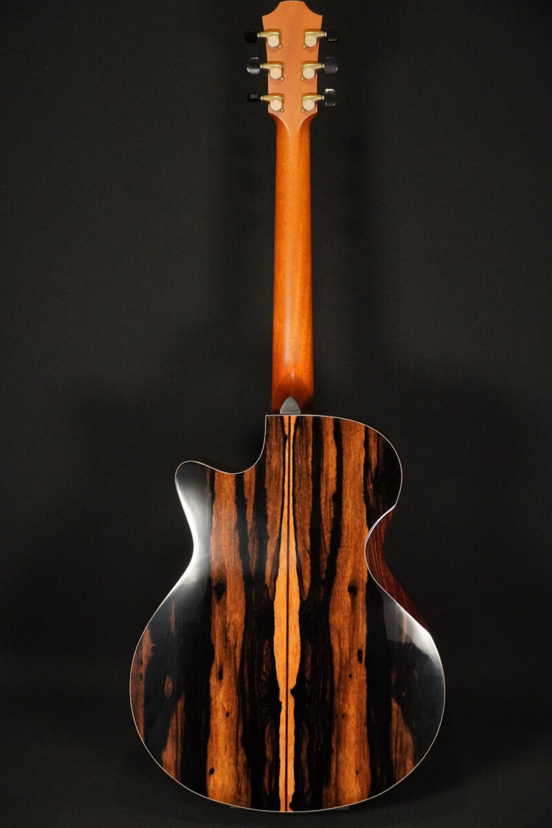 Furch Rainbow Gc-LE Custom Shop – Bild 2
