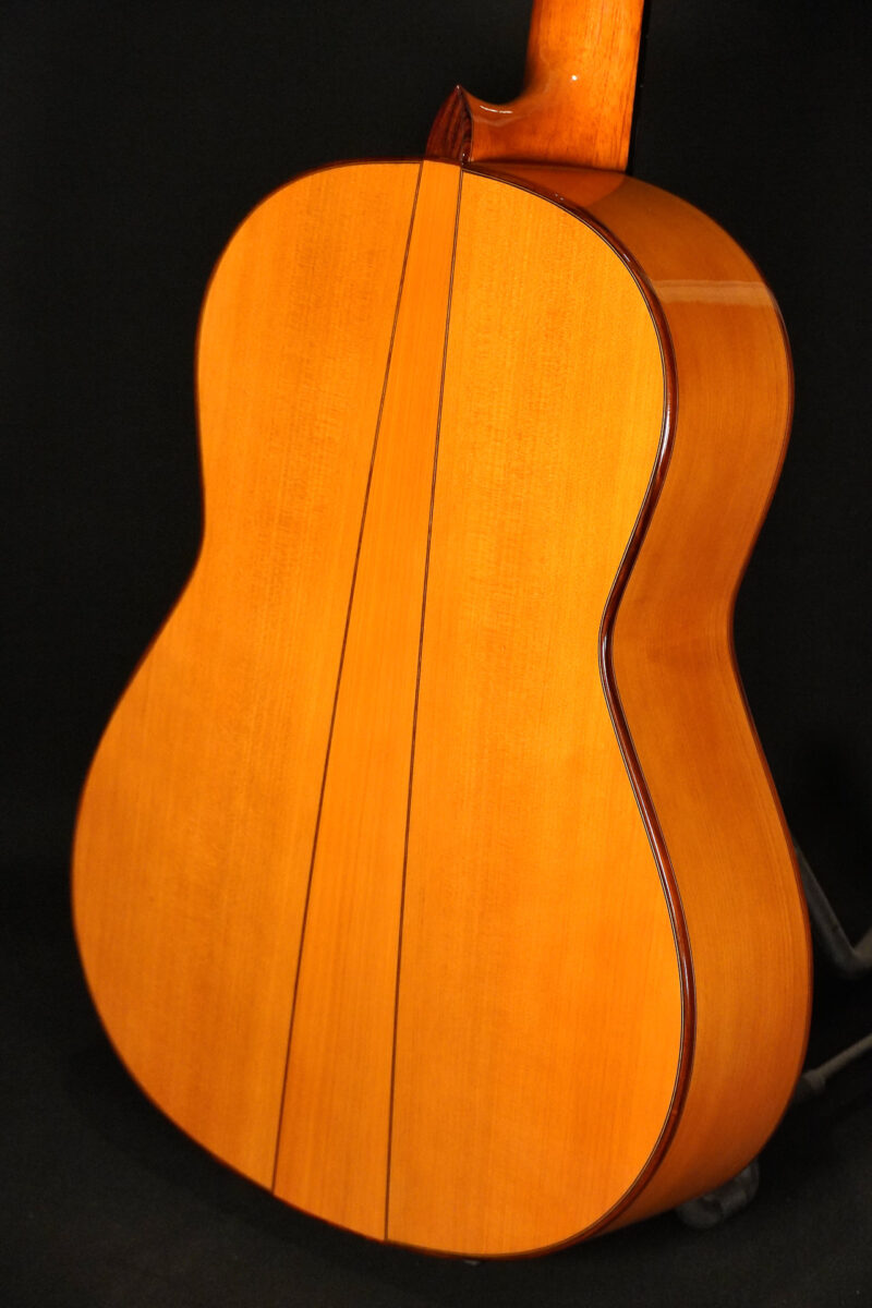 Juan Hernandez Flamenca Profesional Blanca – Bild 10