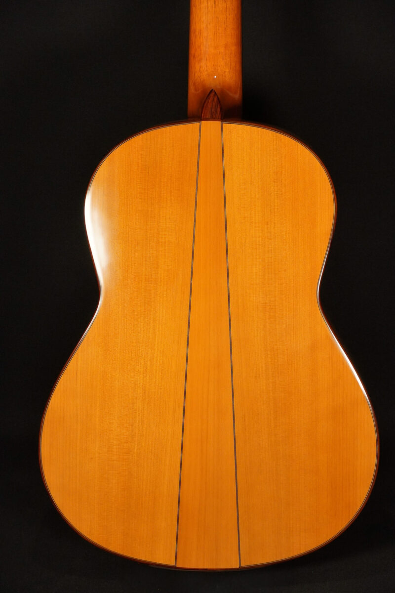 Juan Hernandez Flamenca Profesional Blanca – Bild 17