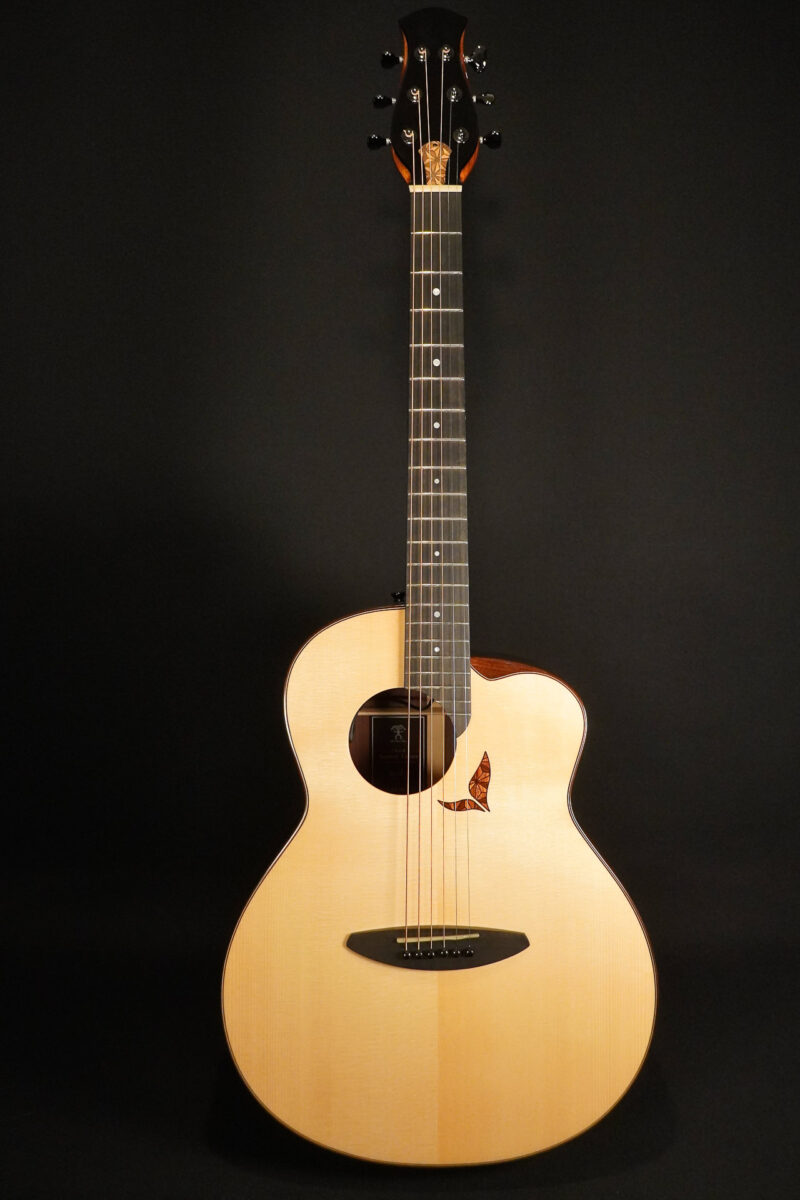 Anuenue LS700E
