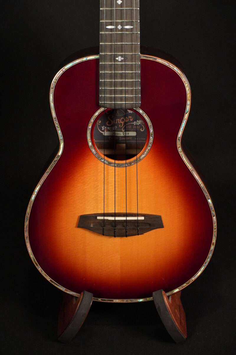 aNueNue Singer RT5R – Bild 3
