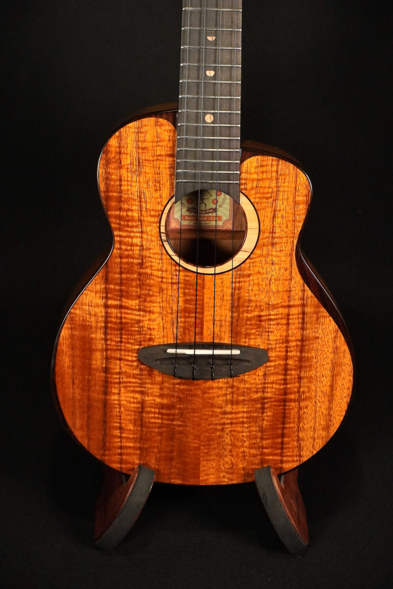 aNueNue UC3K Bird Concert – Bild 3