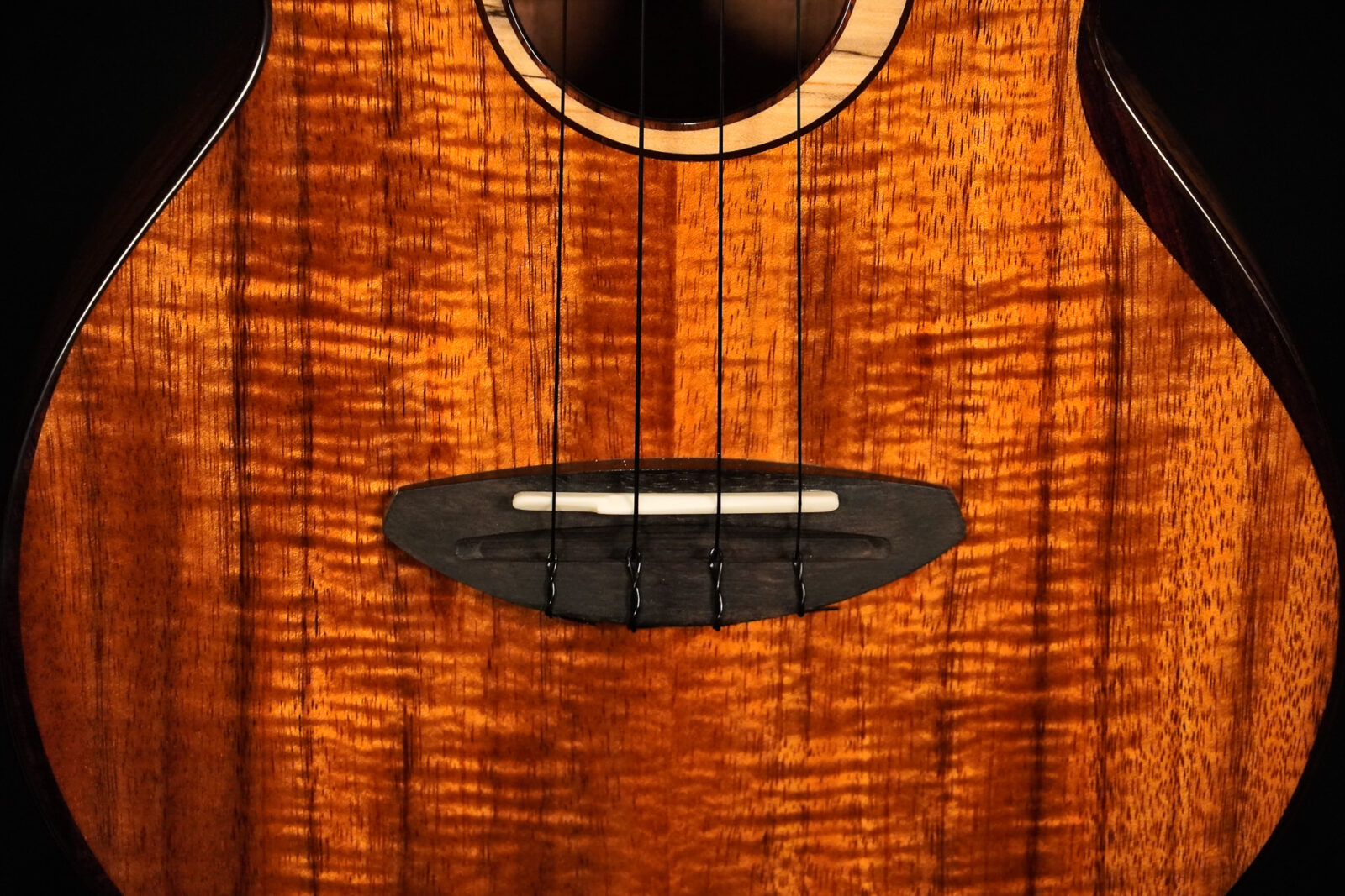 aNueNue UC3K Bird Concert - Image 4