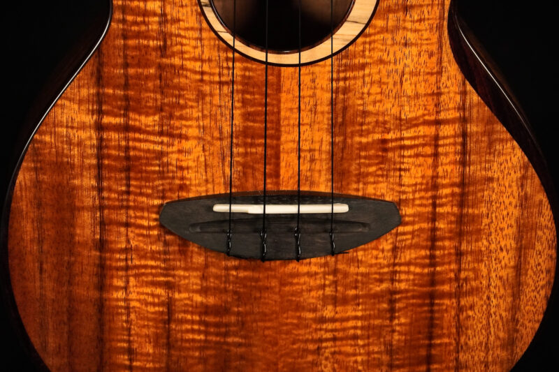 aNueNue UC3K Bird Concert – Bild 4