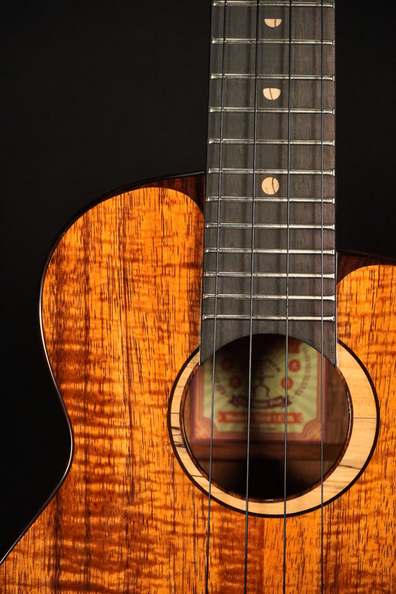 aNueNue UC3K Bird Concert – Bild 5