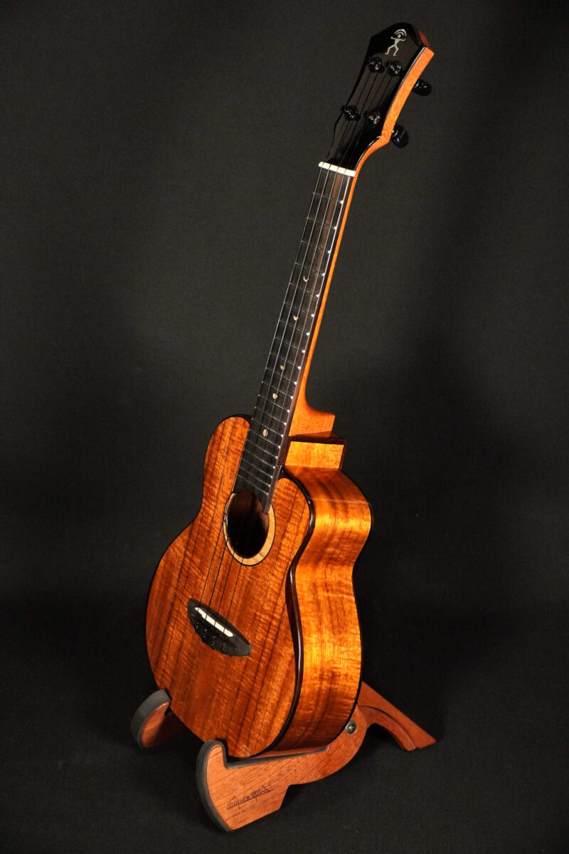 aNueNue UC3K Bird Concert – Bild 7