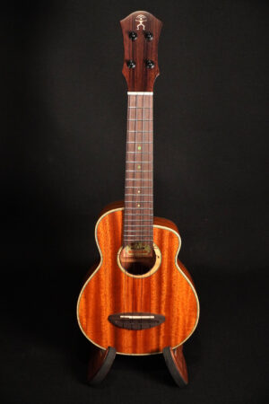 aNueNue Green Bird US110 Konzert