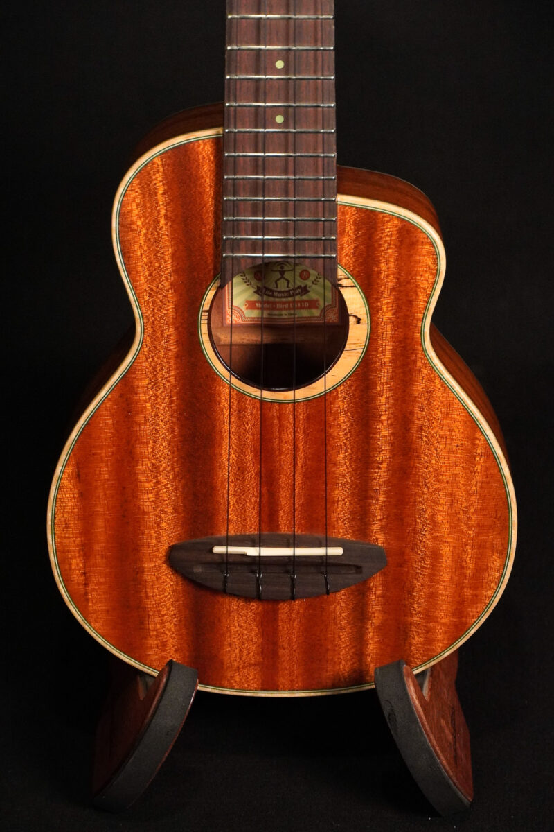 aNueNue Green Bird US110 Konzert – Bild 3