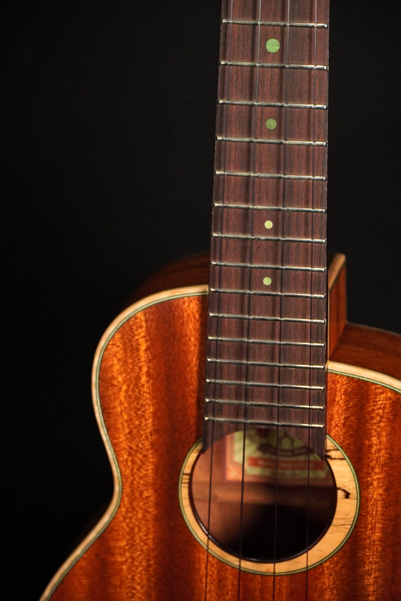 aNueNue Green Bird US110 Konzert – Bild 5