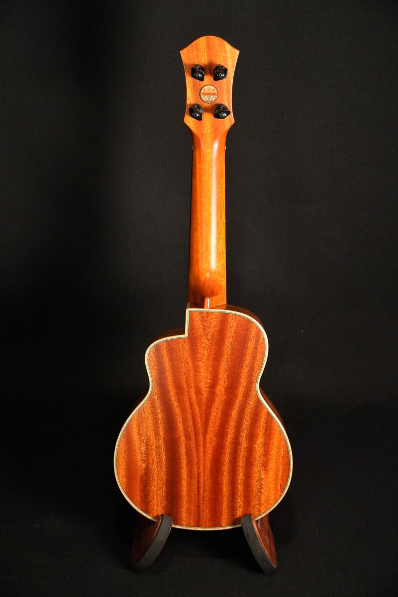 aNueNue Green Bird US110 Konzert – Bild 2