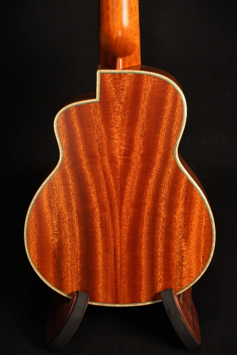 aNueNue Green Bird US110 Konzert – Bild 6