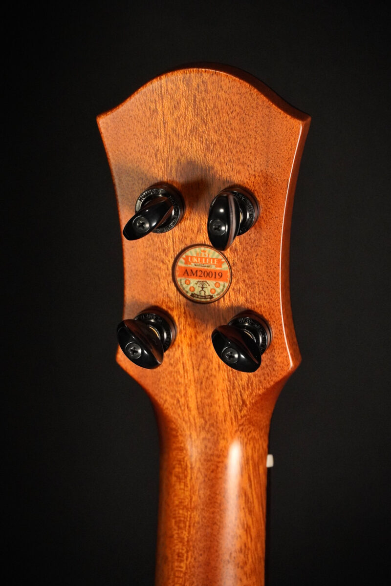 aNueNue Green Bird UT110 Tenor – Bild 6