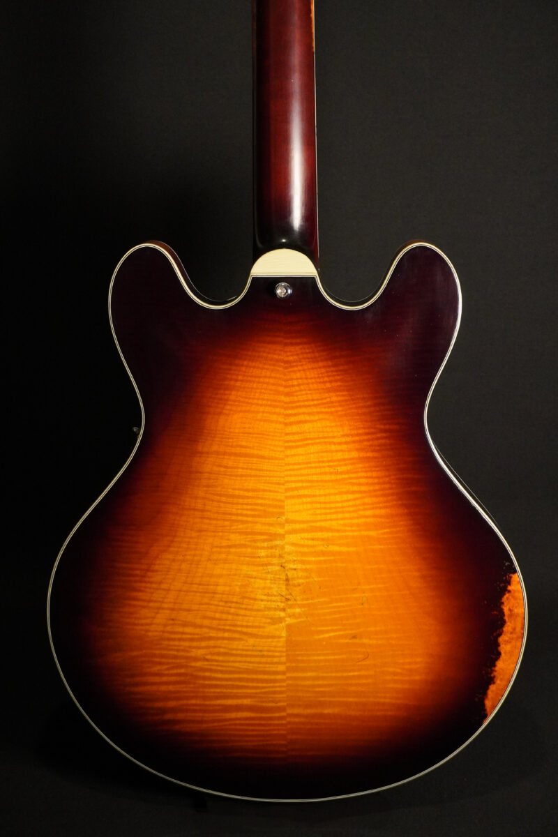 Eastman T59/V-SB – Bild 2