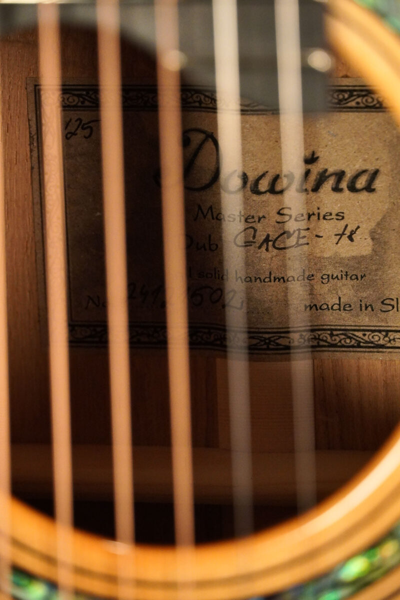 Dowina DUB GAC-ts Anthem – Bild 8