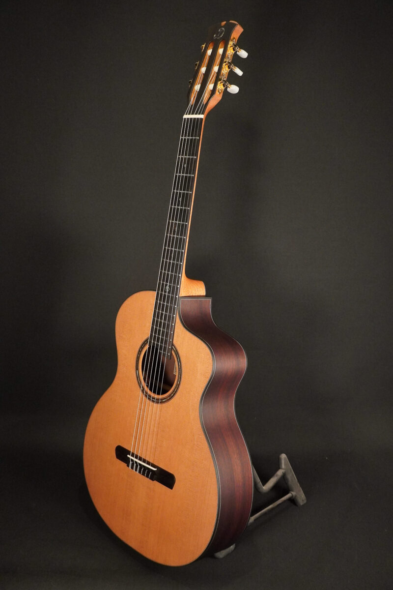 Dowina Rosewood HCE Nylon L.R.Baggs EAS VTC – Bild 4