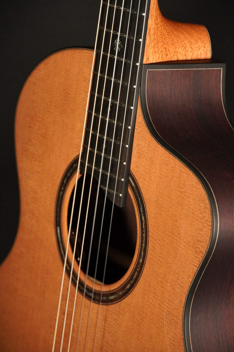 Dowina Rosewood HCE Nylon L.R.Baggs EAS VTC – Bild 6