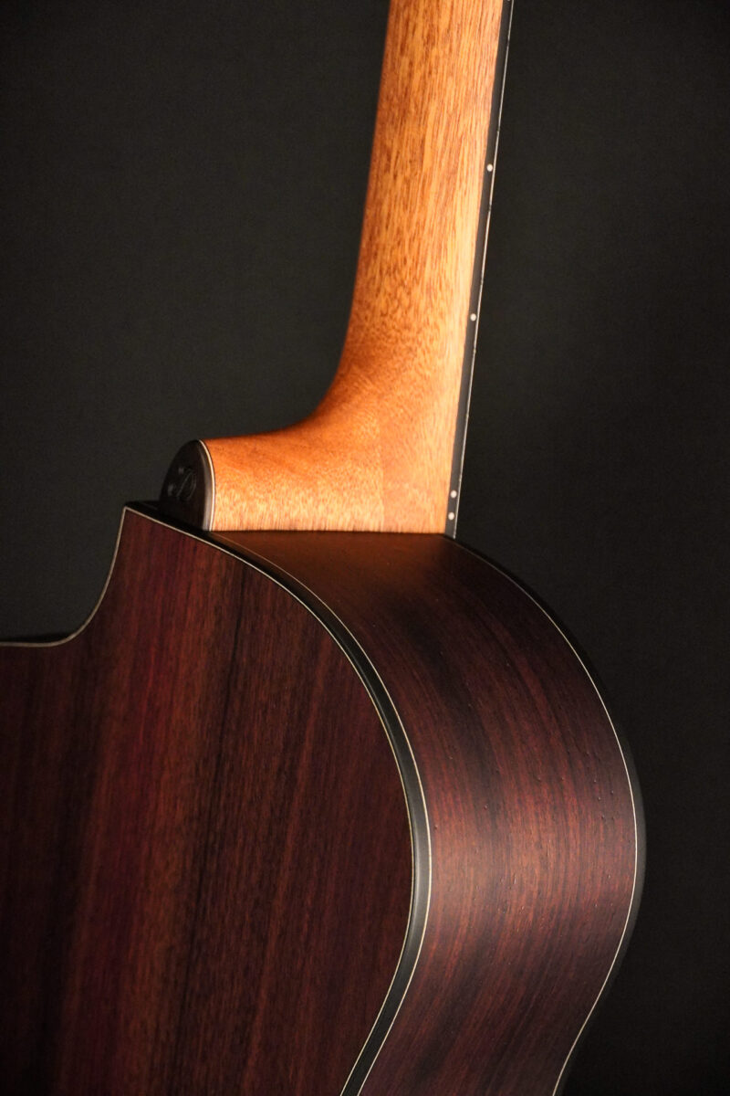 Dowina Rosewood HCE Nylon L.R.Baggs EAS VTC – Bild 9