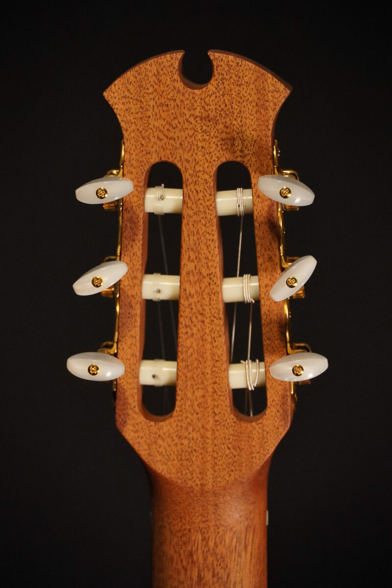 Dowina Rosewood HCE Nylon L.R.Baggs EAS VTC – Bild 11