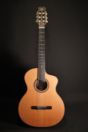 Dowina Rosewood HCE Nylon L.R.Baggs EAS VTC