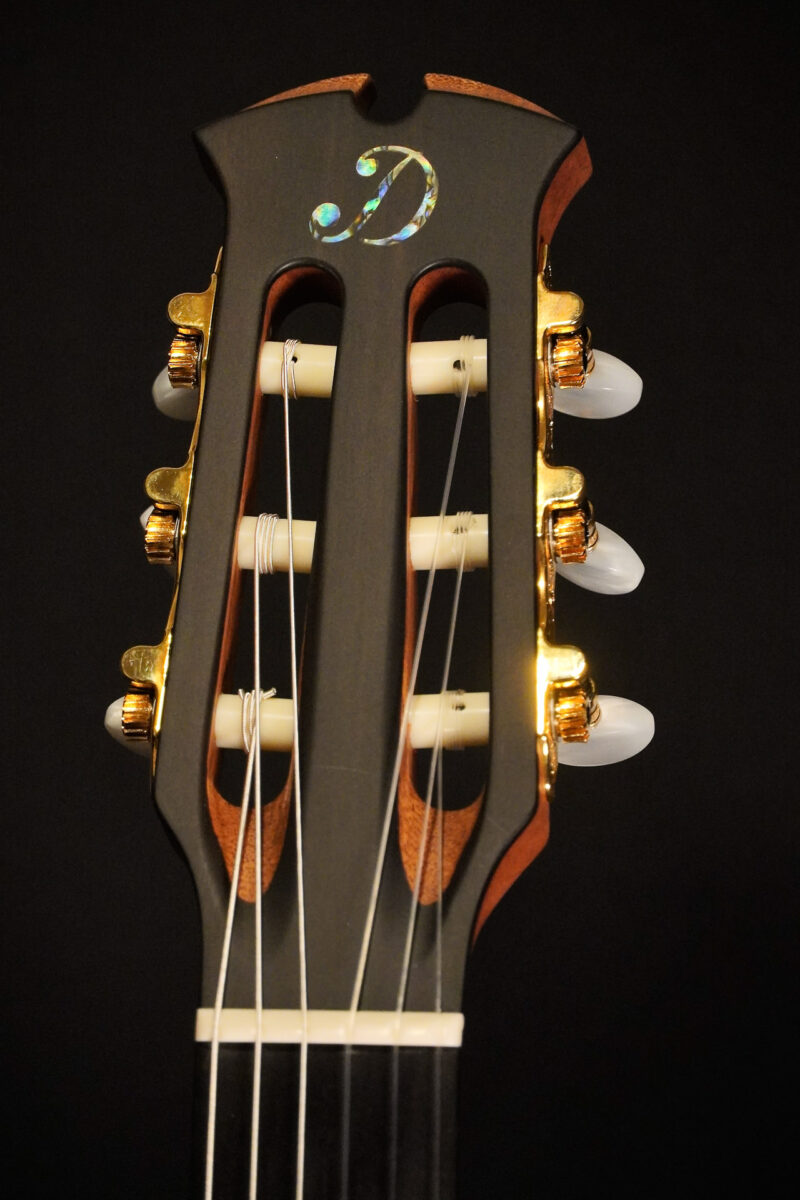 Dowina Rosewood HCE Nylon L.R.Baggs EAS VTC – Bild 12
