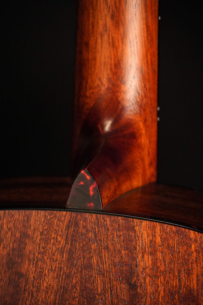 Eastman ACTG1-CLA – Bild 6
