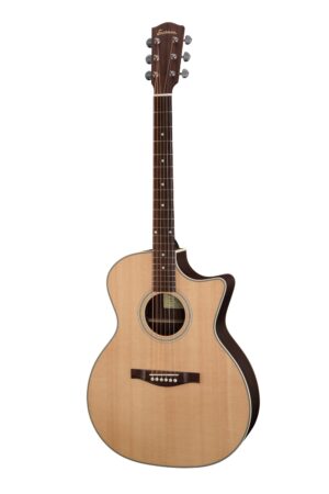 Eastman AC222CE