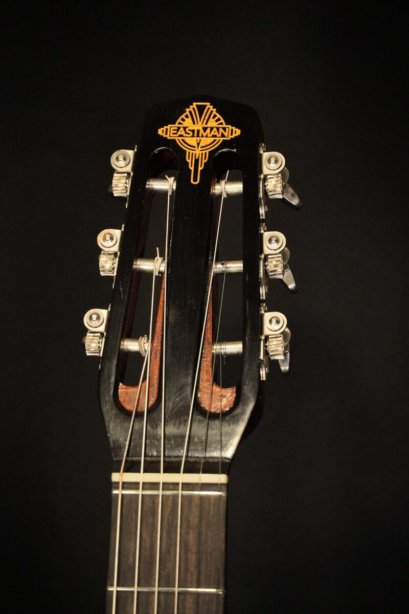 Eastman DM2/V – Bild 4