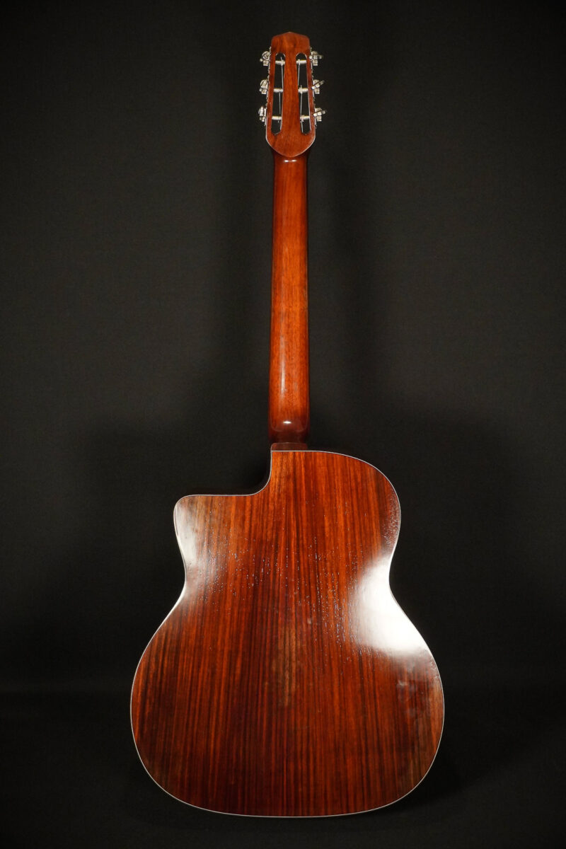 Eastman DM2/V – Bild 2