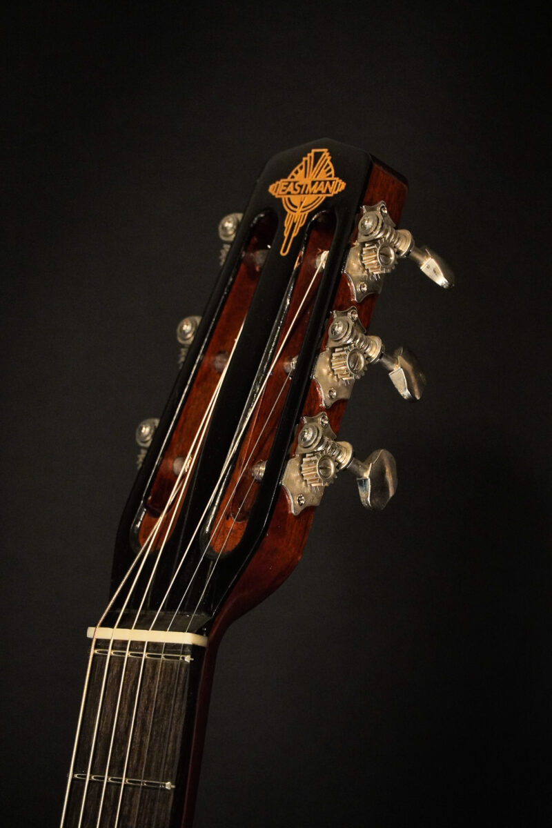 Eastman DM2/V – Bild 18