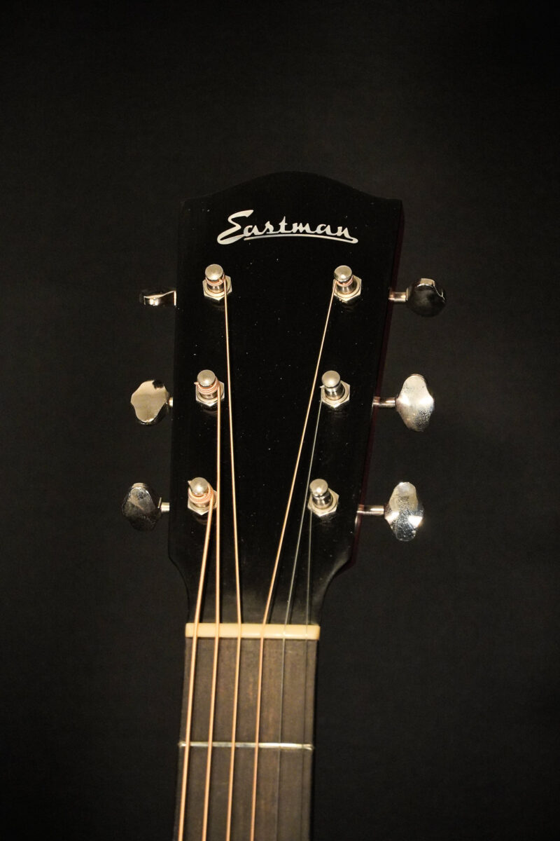 Eastman E10-SS/V antique – Bild 4