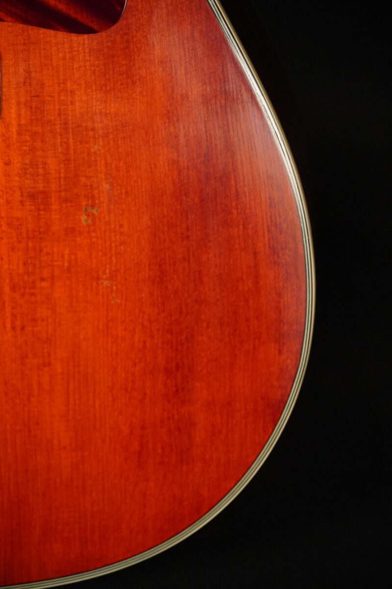 Eastman E10-SS/V antique – Bild 6