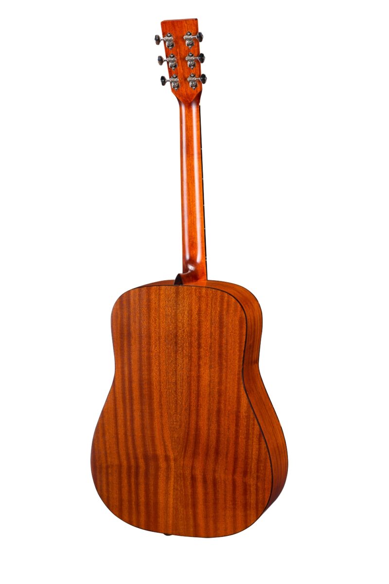 Eastman E1D – Bild 2