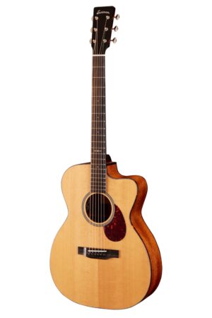 Eastman E1OMCE-Special