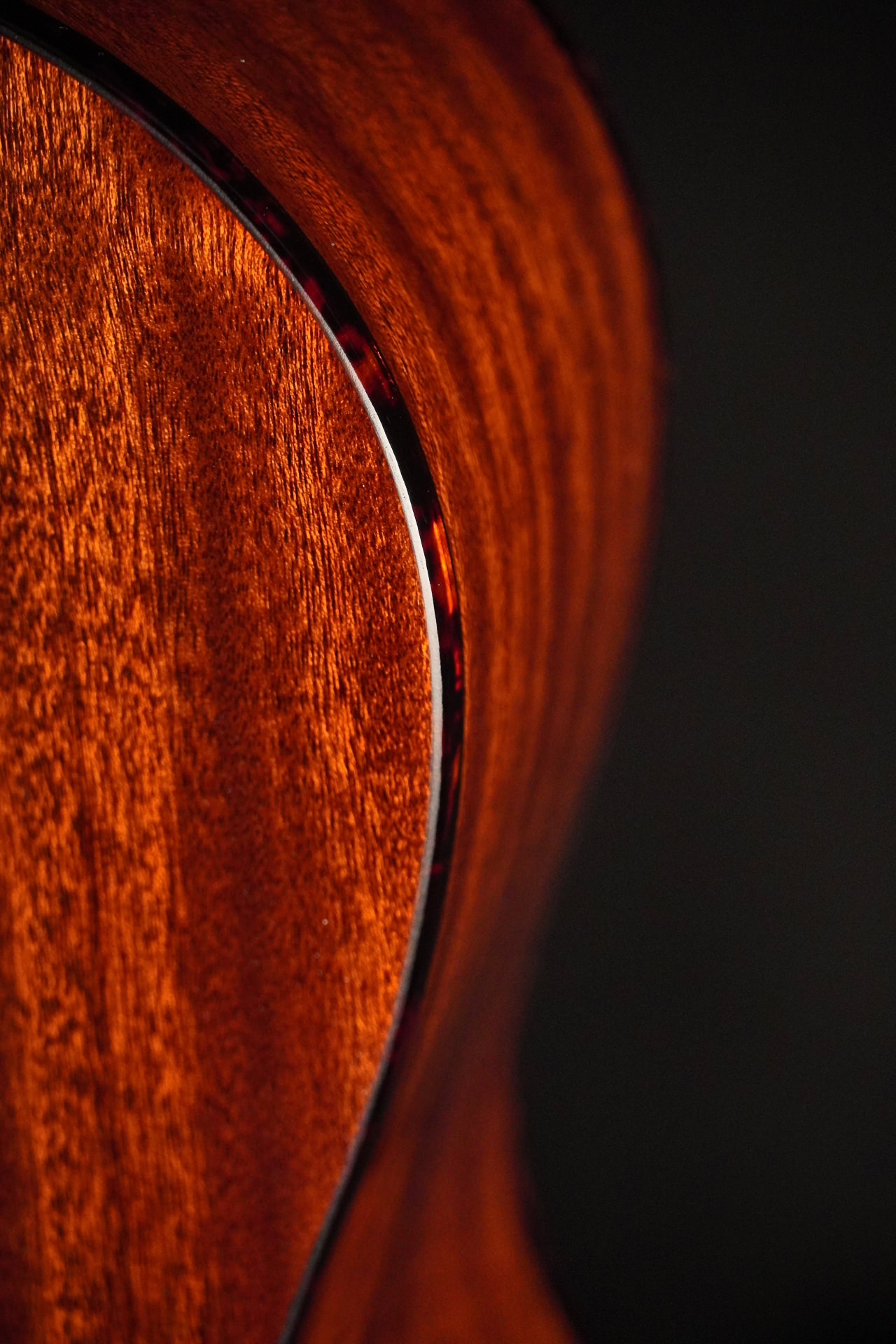 Eastman E2OM-DLX-SB - Image 11