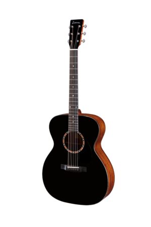 Eastman E2OM-BK