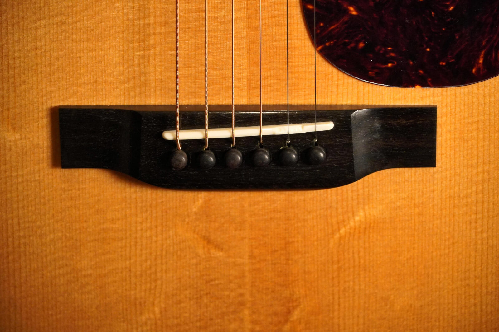 Eastman E6D-TC – Bild 9