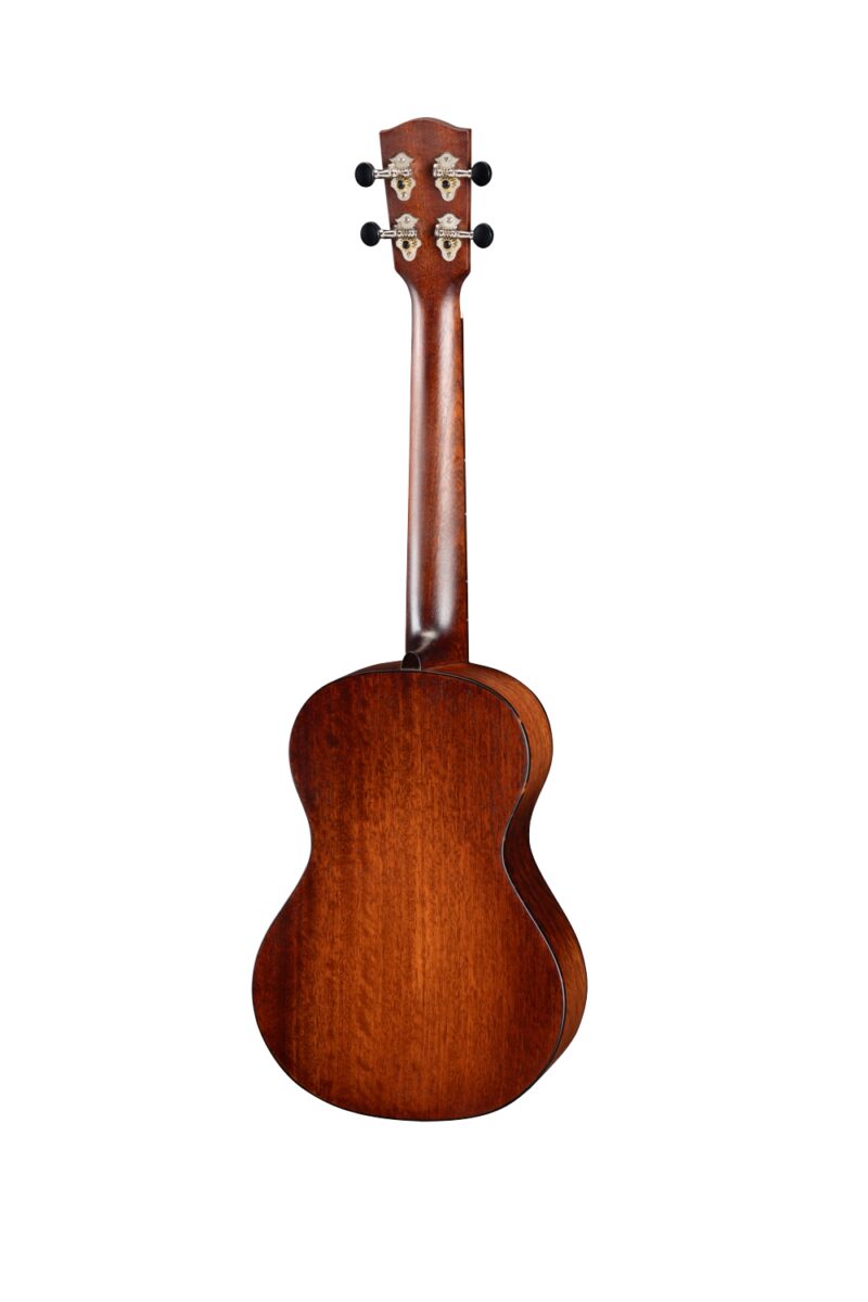 Eastman EU1-T – Bild 2