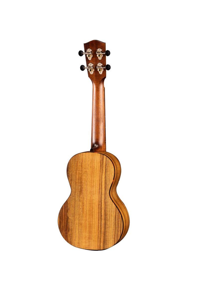 Eastman EU2-C – Bild 2