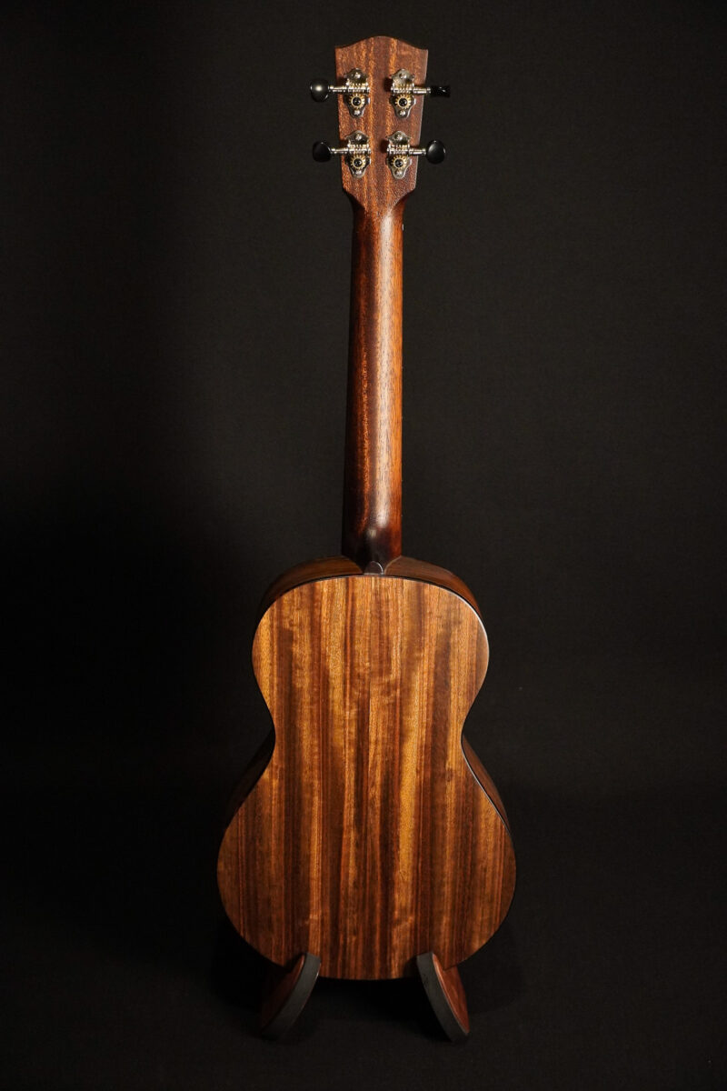 Eastman EU2-T – Bild 2