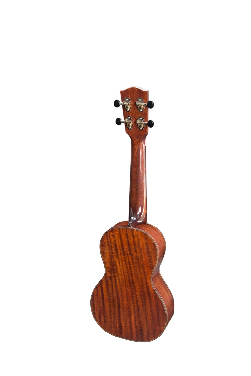 Eastman EU3-C – Bild 2
