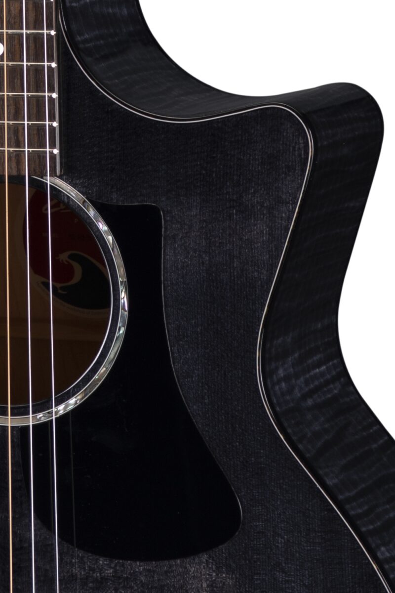 Eastman PCH3-GACE-TBK – Bild 4